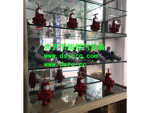 黄瓜TV在线观看黄瓜视频APP污下载炉  燃气减压阀